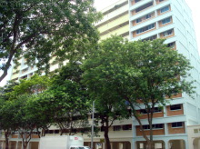 yishun-street-22 photo thumbnail #13